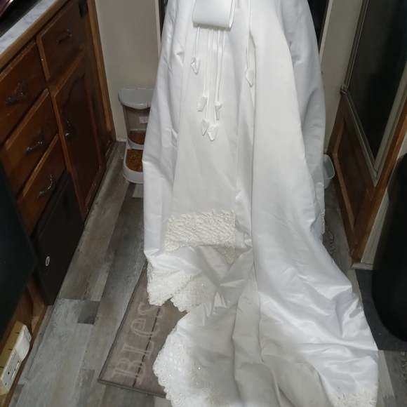 David's Bridal wedding gown with veil - Picture 10 of 11